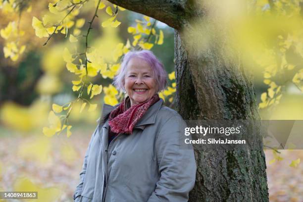 idosa ao ar livre em atumn inclinando-se na árvore de ginkgo - ginkgo tree - fotografias e filmes do acervo