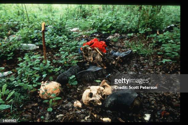 Remains of slaughtered Muslim men lay in a mass gravesite where Serb forces attacked the men May 14, 1996 in Srebrenica, Bosnia and Herzegovina....