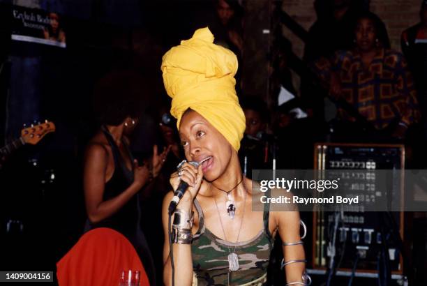Badu Singer 259 Erykah Badu Performs In Chicago Illinois Stock Photos, High-Res ...