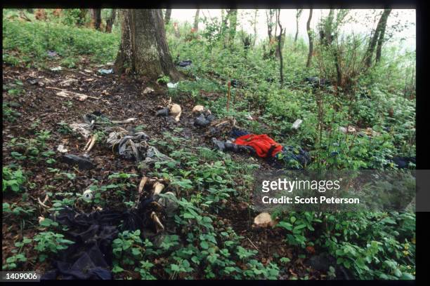 The remains of Muslim men at a mass grave site where they were killed by Serb forces, Srebrenica, Bosnia and Herzegovina, May 14, 1996 . Yugoslav...