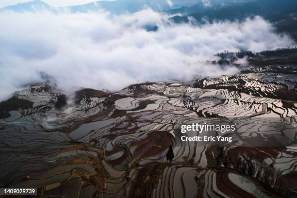 aerial view of terrace above cloud - yuanyang foto e immagini stock