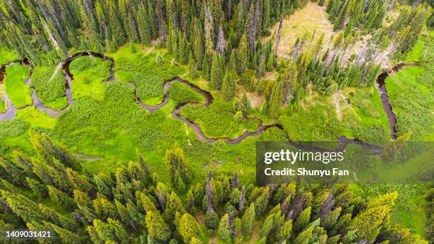 winding river in wild montana - billings stockfoto's en -beelden