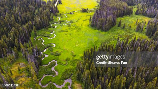 winding river in wild montana - billings montana 個照片及圖片檔