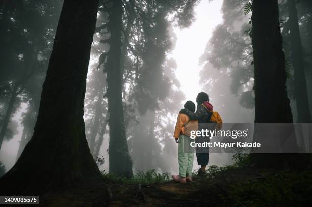 mother and daughter walking in a forest in fog - south asia stock pictures, royalty-free photos & images