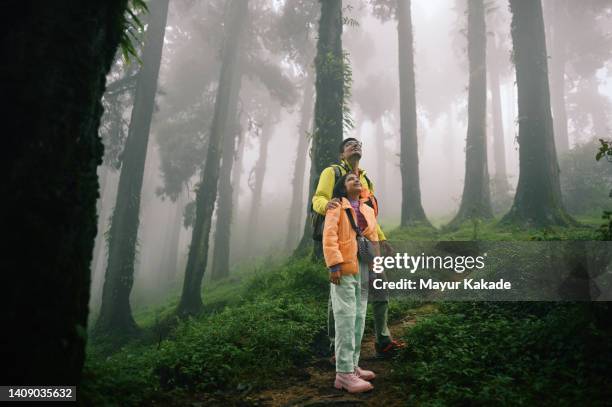 father and daughter walking in a forest in fog - indian family vacation stock pictures, royalty-free photos & images