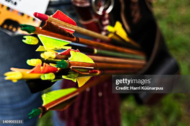 arrows in a quiver - archery feather stockfoto's en -beelden