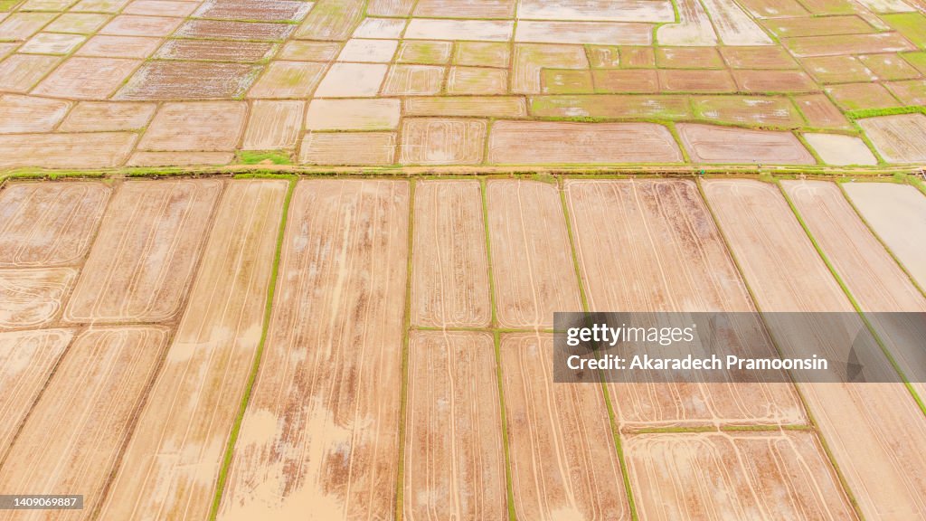 Empty Rice Fields Aerial View Of Empty Rice Fields Waiting For Cultivation In Rural ...