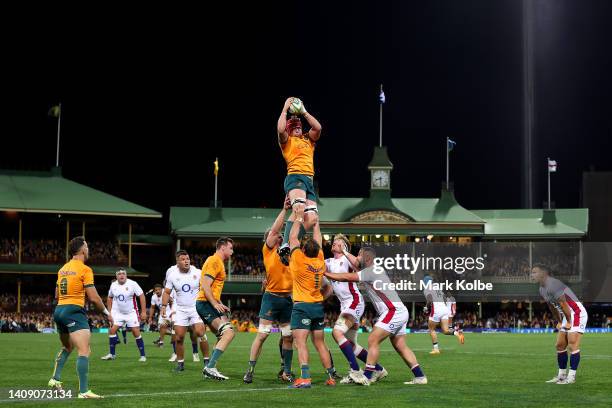 Harry Wilson of the Wallabies receives the ball from the line out throw during game three of the International Test match series between the...