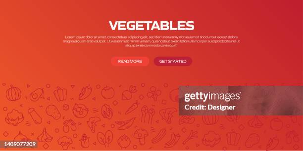 vegetables web banner with linear icons, trendy linear style vector - fruits and vegetables background stock illustrations