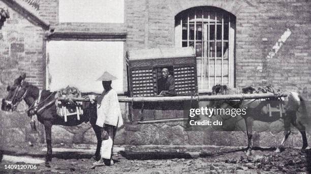 travel sedan chair carried by two donkeys, china, beijing - chinese sedan chair stock illustrations