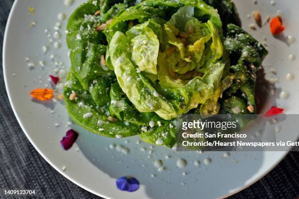 The Lattuga salad with living butter lettuce, toasted pine nuts, lemon dressing and Grana Padano served at Belotti Ristorante, a pasta-focused...
