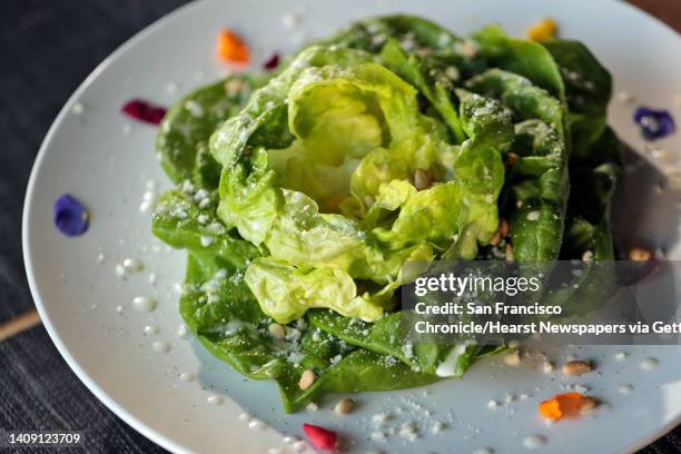 The Lattuga salad with living butter lettuce, toasted pine nuts, lemon dressing and Grana Padano served at Belotti Ristorante, a pasta-focused...