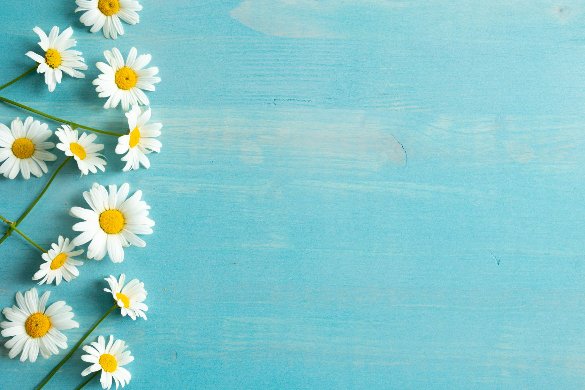spring flowers