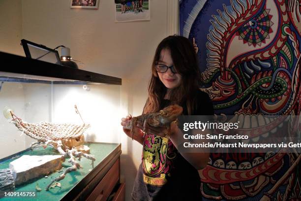 Sofia Jarrell plays with Larry the bearded dragon in the apartment of their family friend Ryan Sotelo after evacuating from the North Complex fire to...