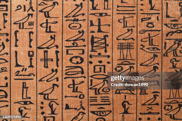 ilustraciones, imágenes clip art, dibujos animados e iconos de stock de jeroglíficos del antiguo egipto del papiro de ani un manuscrito de papiro - papiros escritos
