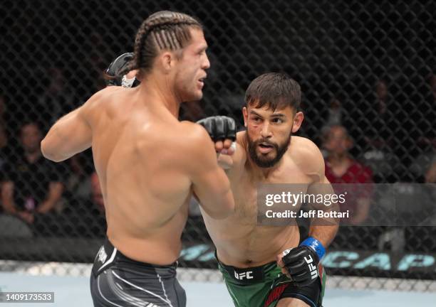 Yair Rodriguez of Mexico punches Brian Ortega in a featherweight fight during the UFC Fight Night event at UBS Arena on July 16, 2022 in Elmont, New...