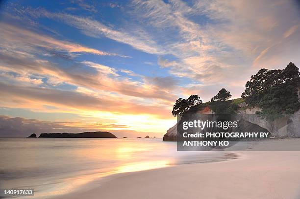 cathedral cove - coromandel stock pictures, royalty-free photos & images