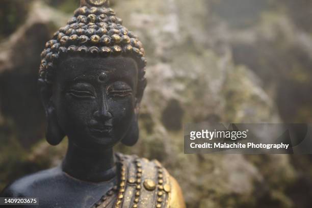 buddha statue peacefully meditating - sect stockfoto's en -beelden