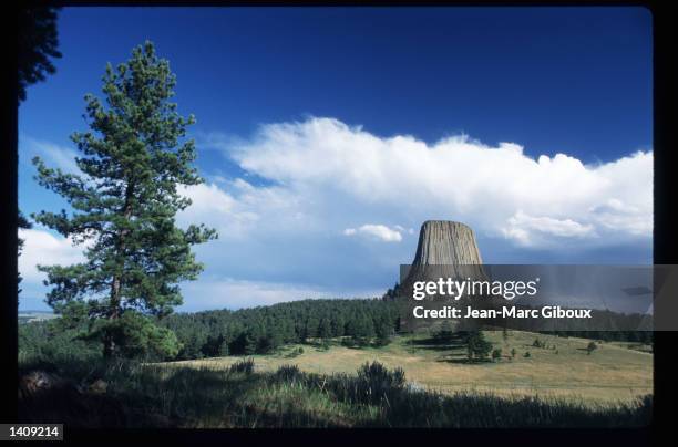 Devil''s Tower stands August 1, 1996 in the Black Hills region of Wyoming. Sioux tribe members continue to fight the US government over the rights to...