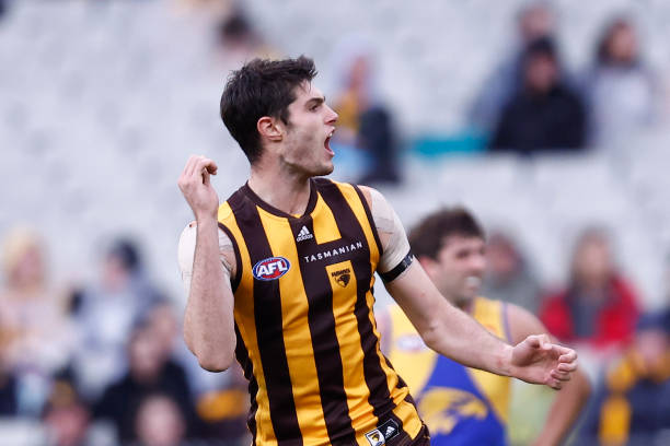 Ned Reeves of the Hawks celebrates a goal during the round 18 AFL match between the Hawthorn Hawks and the West Coast Eagles at Melbourne Cricket...