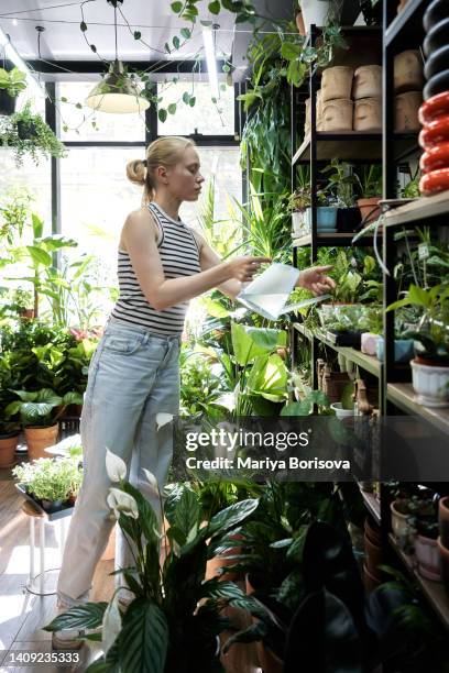 a young woman in a striped t-shirt takes care of plants in a floral urban jungle. plant shop. - flower girl stock pictures, royalty-free photos & images