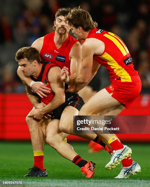 Daniel Snelling 70 Daniel Snelling Stock Photos, High-Res Pictures, and Images - Getty ...