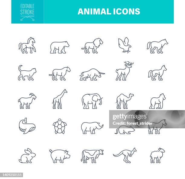 ilustrações, clipart, desenhos animados e ícones de ícones da linha animal. golpe editável. pixel perfeito. . contém ícones como cão, gato, urso, touro, rato, ovelha, coelho, girafa, elefante - jardim zoológico