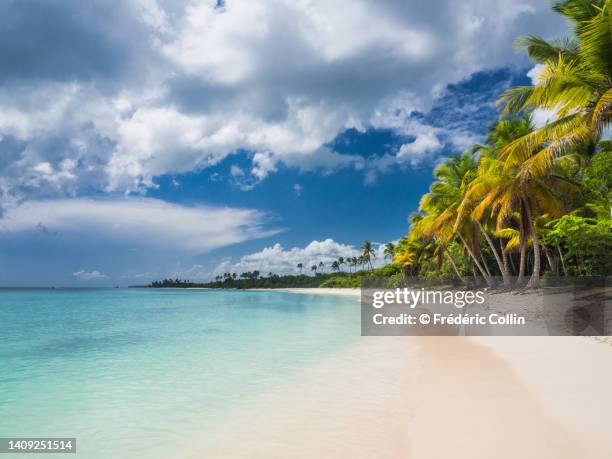 playa el torro - dominican republic - punta cana foto e immagini stock