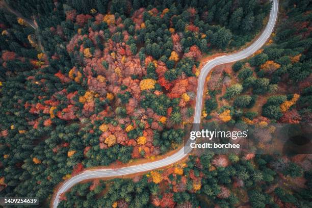 otoño en automóvil - aerial view photos fotografías e imágenes de stock