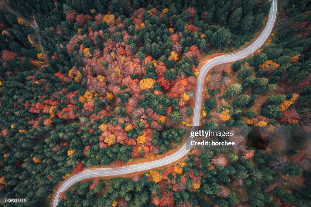 Autumn Drive
