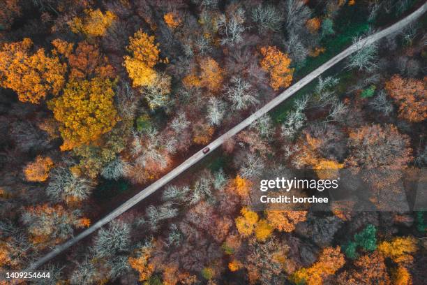Path Background Diagonal Diagonal Path Photos and Premium High Res Pictures - Getty Images