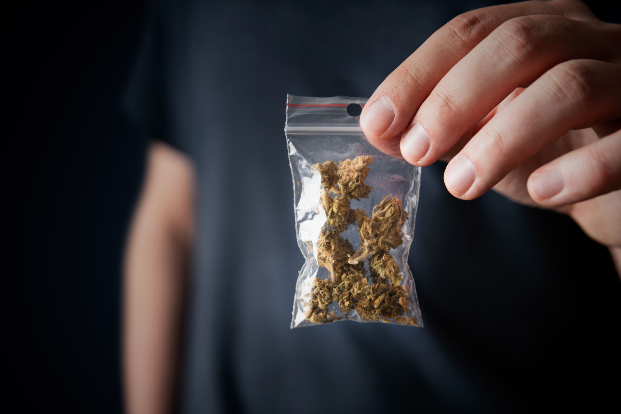 Drug package with hemp. Man with marijuana bag Drug package with hemp. Man with marijuana bag