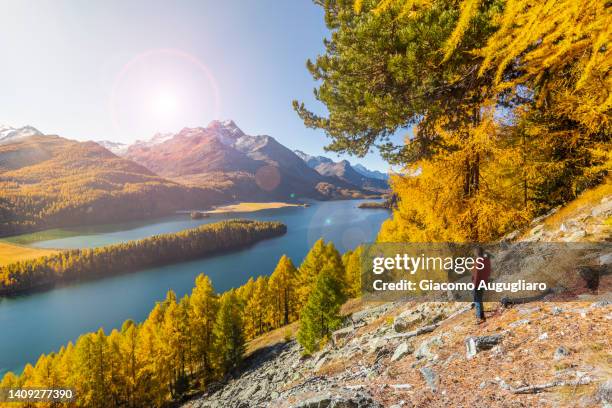 young hiker looking at engadine lake sils, maloja, switzerland - graubunden canton stock pictures, royalty-free photos & images