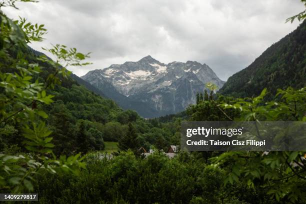 high mountain peaks surrounded by green forest - gaia filippi stock pictures, royalty-free photos & images