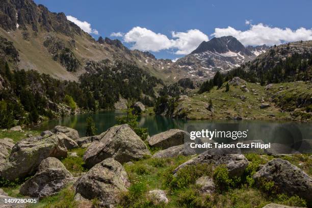 lake in the mountains - gaia filippi stock pictures, royalty-free photos & images