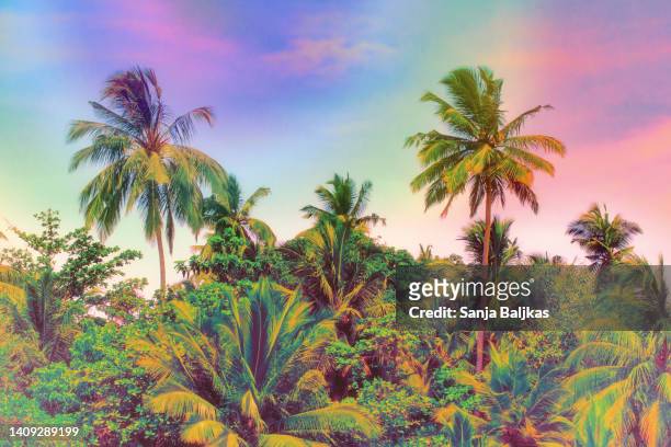 tropical jungle of palm trees - rainbow forrest abstract bildbanksfoton och bilder