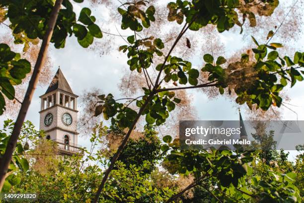 tirana clock tower and et'hem bej mosque framed by leaves - tirana stockfoto's en -beelden