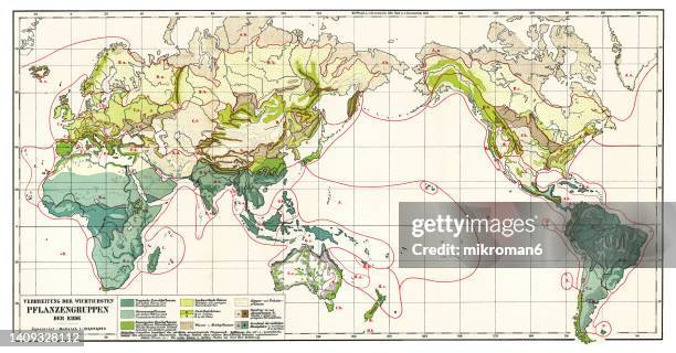 old chromolithograph map of distribution of the most important plant groups on earth - asia pacific map fotografías e imágenes de stock