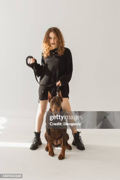 curly redhead girl with pedigree doberman in collar in studio on white background looks at camera. model with matte brown lipstick. beauty portrait. natural light. long hair. pet. dark dog. fashion - white doberman pinscher stock pictures, royalty-free photos & images