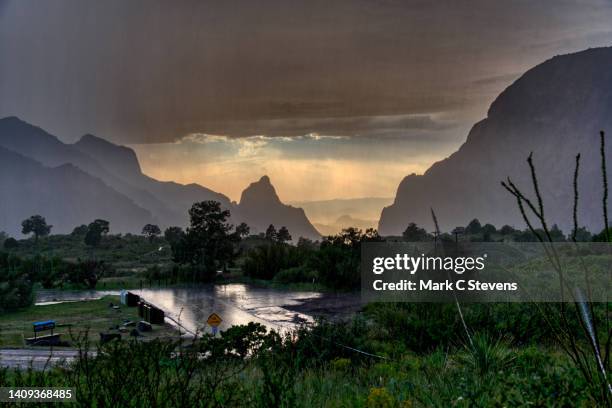 rain on last day in big bend - chisos mountains stockfoto's en -beelden