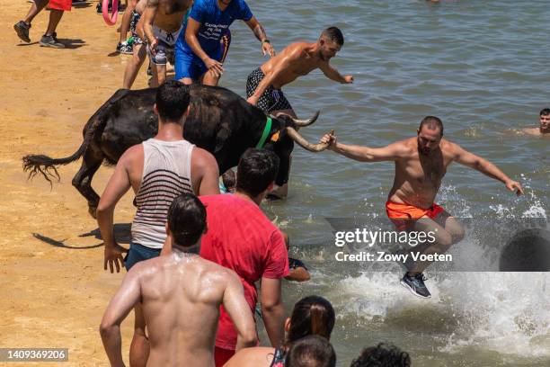 Participant in the running of the bulls grabs the bull's horn causing it to fall into the sea during the 'Bous a la Mar' festival on July 17, 2022 in...