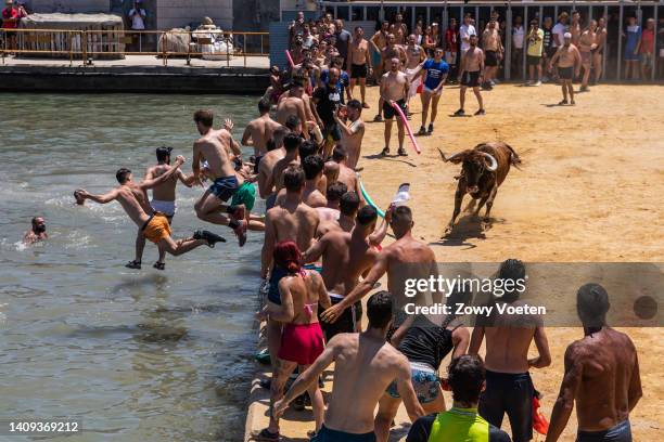 Participants have fun with a bull and try to make it fall into the sea during the 'Bous a la Mar' festival on July 17, 2022 in Denia, Spain. The...