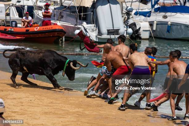 Bull makes participants of the running of the bulls fall into the sea during the 'Bous a la Mar' festival on July 17, 2022 in Denia, Spain. The...