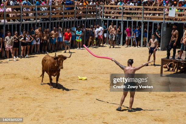 Participant in the running of the bulls tries to catch the bull's attention so that it falls into the sea during the 'Bous a la Mar' festival on July...