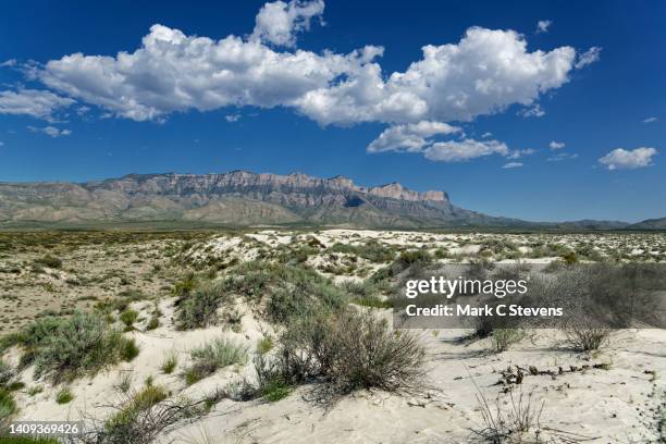white sand of guadalupe mountains - chihuahua desert 個照片及圖片檔