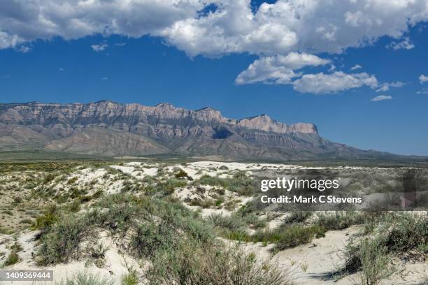 this is guadalupe mountains national park-land! - deserto de chihuahua imagens e fotografias de stock