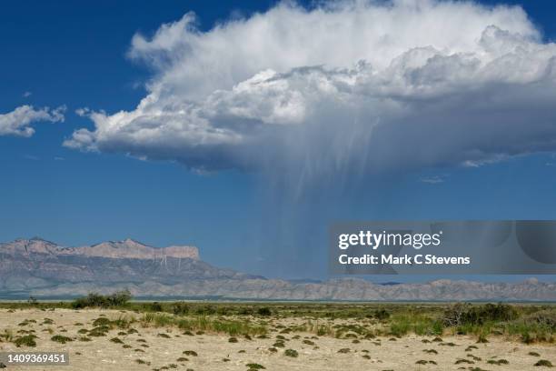 holy xxx! - deserto de chihuahua imagens e fotografias de stock