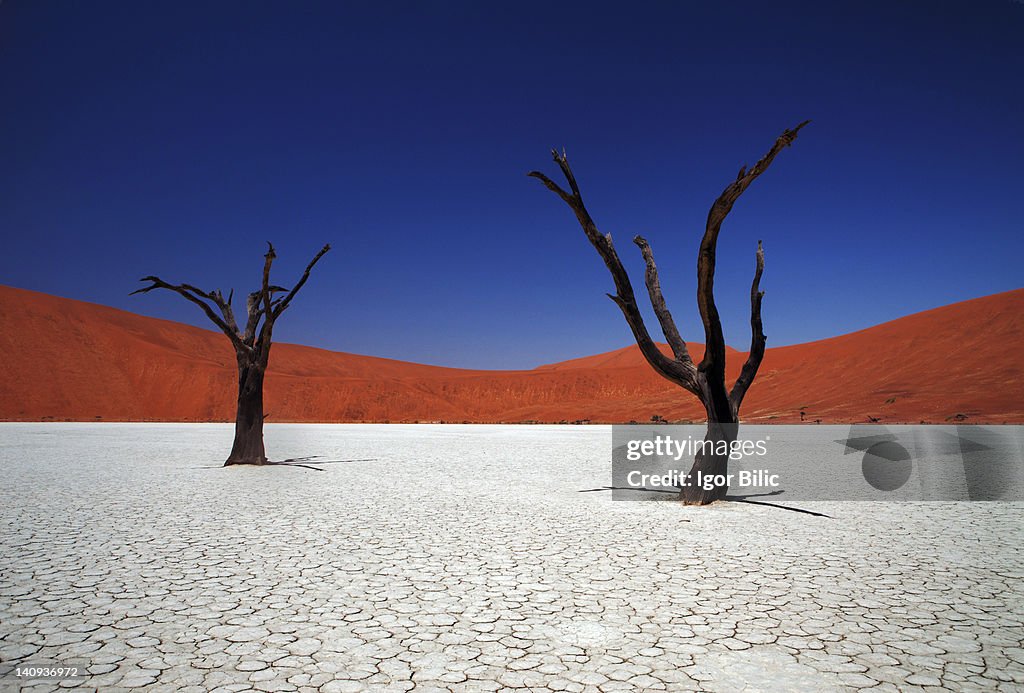 Sossusvlei in Namib desert, Namibia