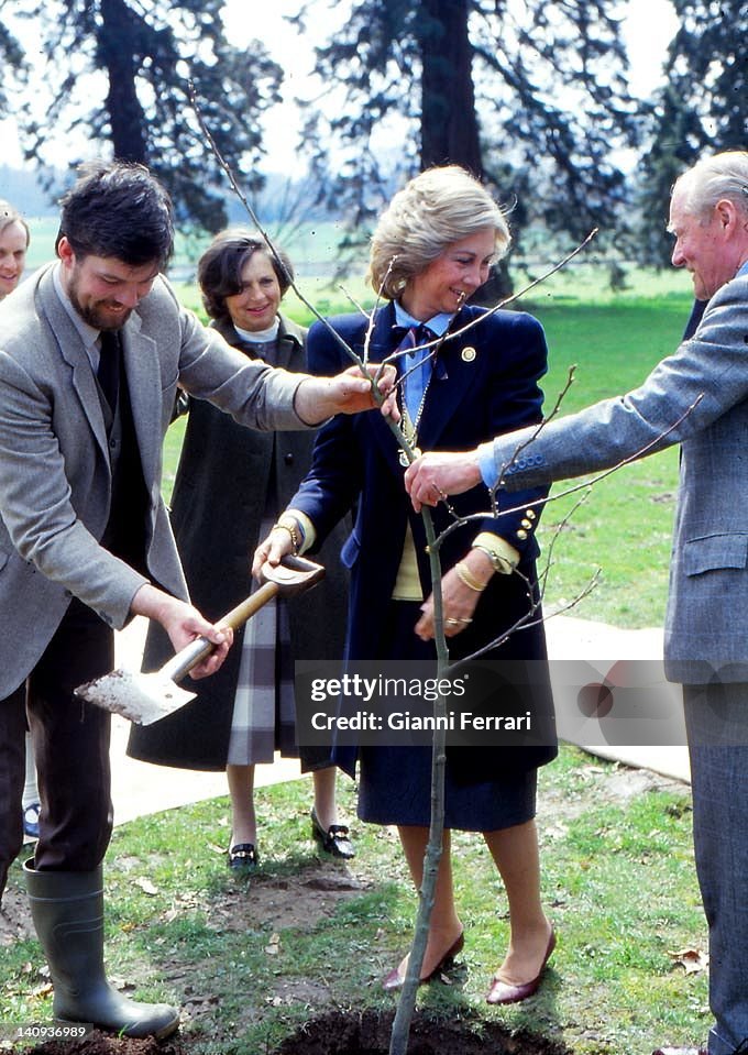 The Queen Sofia Plants A Tree