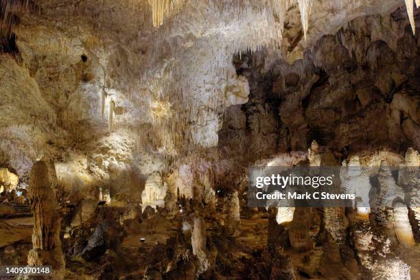 in dark places lurk the evil ones - carlsbad caverns national park stock-fotos und bilder